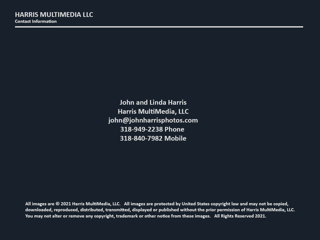 HMM Contact Info